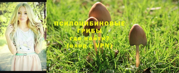 метадон Абаза