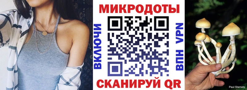 Псилоцибиновые грибы ЛСД  купить закладку  Каменногорск 