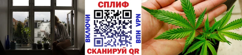 Бошки марихуана OG Kush  сколько стоит  Каменногорск 